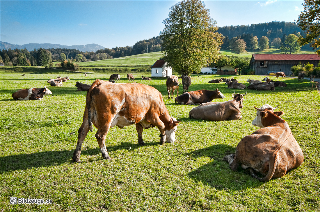 111017_ALL_207-PS3BZ