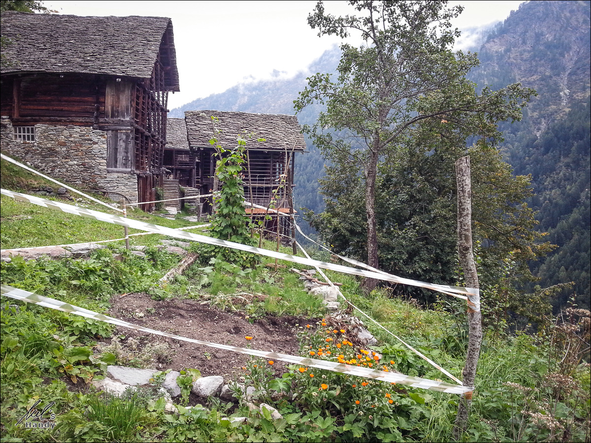 Kleines Feld für den Alltag